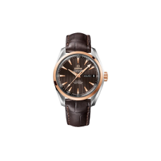 OMEGA AQUA TERRA 39mm 231.23.39.22.06.001
