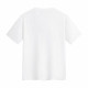FAIRWHALE T