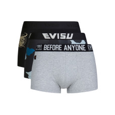 EVISU 3