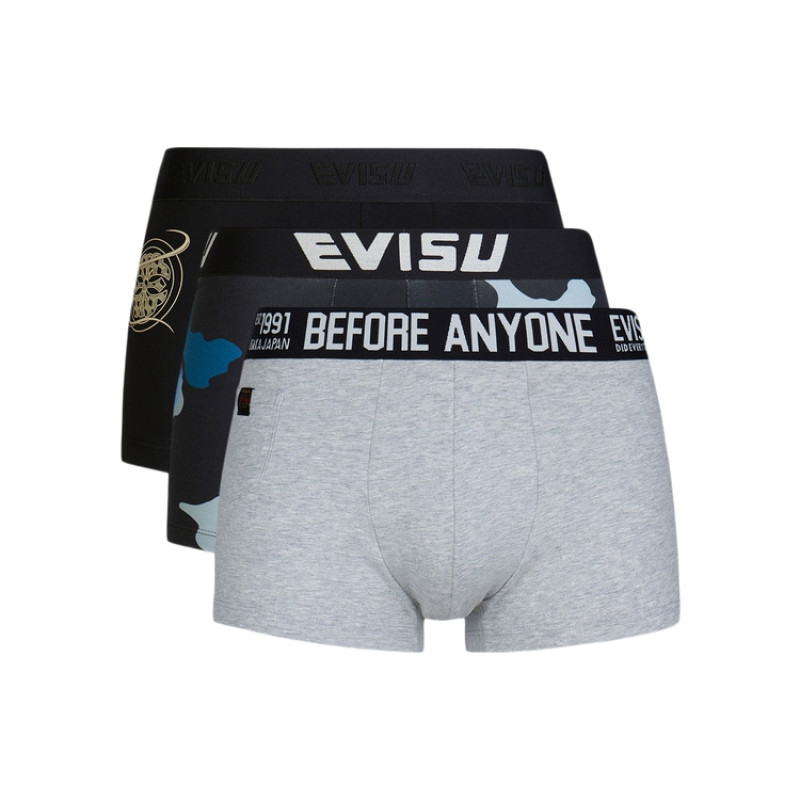 EVISU 3