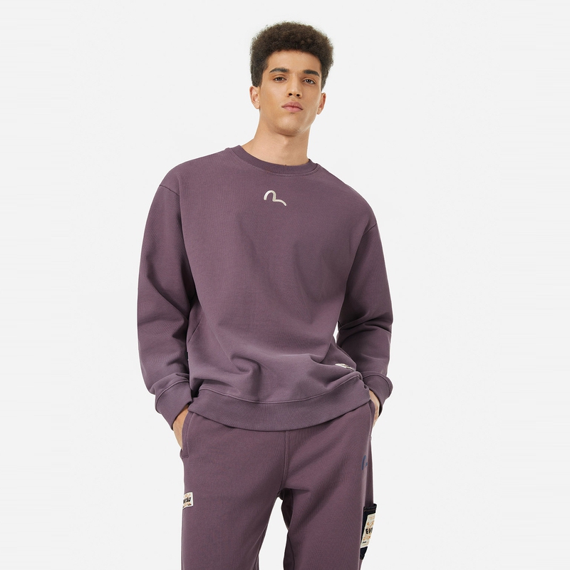 EVISU 2024