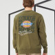 Dickies Logo