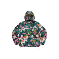 Supreme x THE NORTH FACE Logo