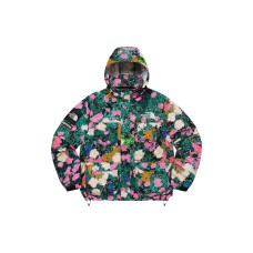 Supreme x THE NORTH FACE Logo