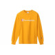 Champion Basic Logo