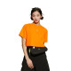 CKCalvin Klein T