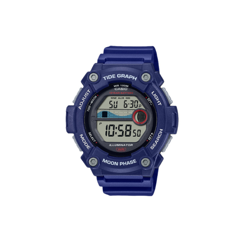 CASIO VINTAGE 100 WS-1300H-2AVCF