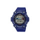 CASIO VINTAGE 100 WS-1300H-2AVCF