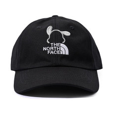 THE NORTH FACE Logo FanFare