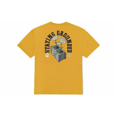 Vans T