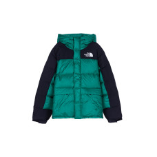 THE NORTH FACE DOWN PARKA ENERGY