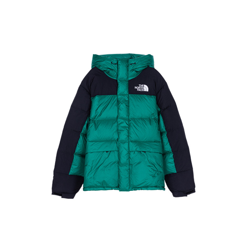 THE NORTH FACE DOWN PARKA ENERGY