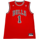 adidas x NBA ROSE 1