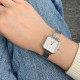 Daniel Wellington 22MM