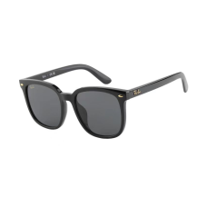 RayBan Logo