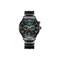 CITIZEN BIP AP1055-87X