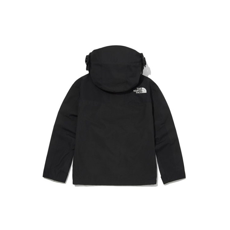 THE NORTH FACE 1990 Logo