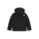 THE NORTH FACE 1990 Logo