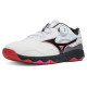 Mizuno