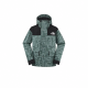 THE NORTH FACE 1986 logo