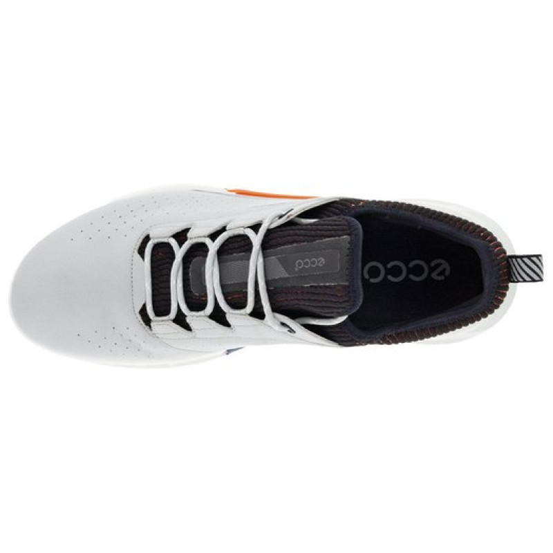 x ecco Biom C4