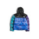 THE NORTH FACE x KAWS 1996 Nuptse 700