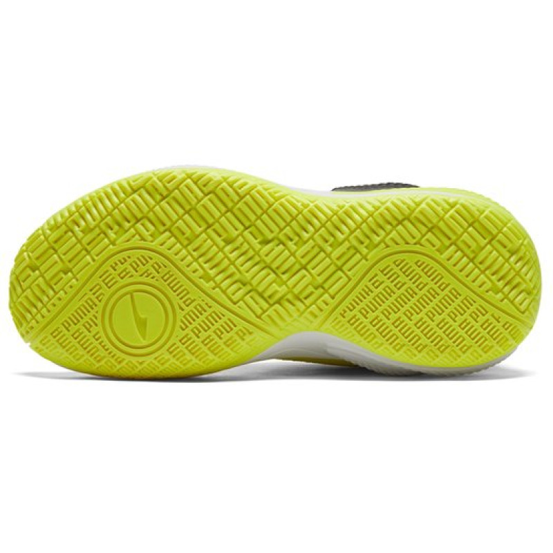 PUMA TPU