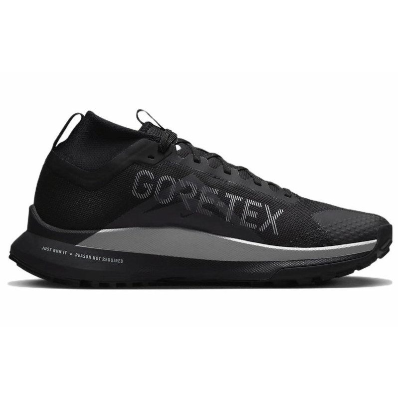 Nike Pegasus Trail 4 gore-tex