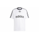 adidas originals Adi Color TCO LogoT