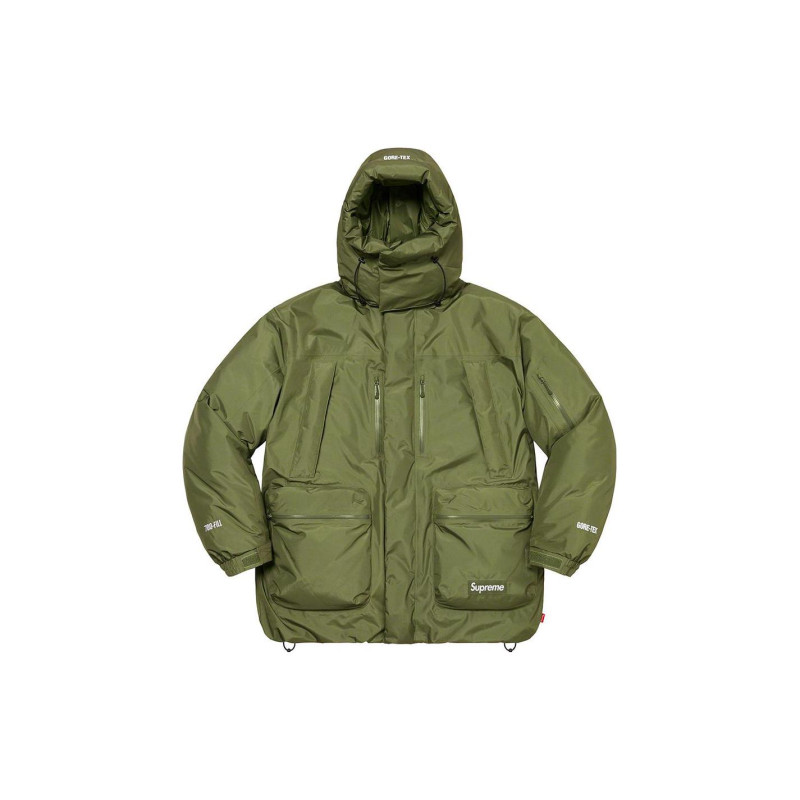 Supreme FW22 Week 17 GORE-TEX 700-Fill Down Parka