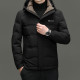 PIERRE CARDIN