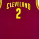 adidas x NBA IRVING logo2