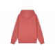 Champion FW23 Rochester C-Logo