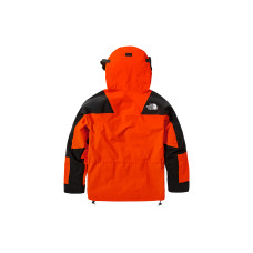 THE NORTH FACE 1994 1994 Retro Mountain Light Futurelight Jacket