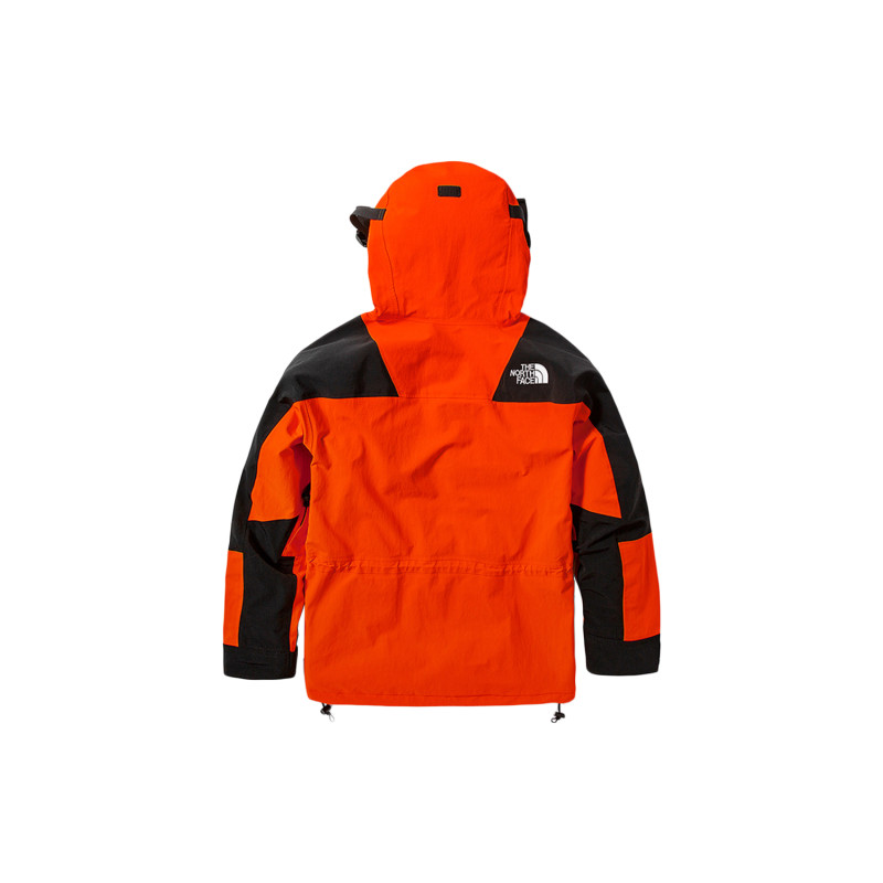 THE NORTH FACE 1994 1994 Retro Mountain Light Futurelight Jacket