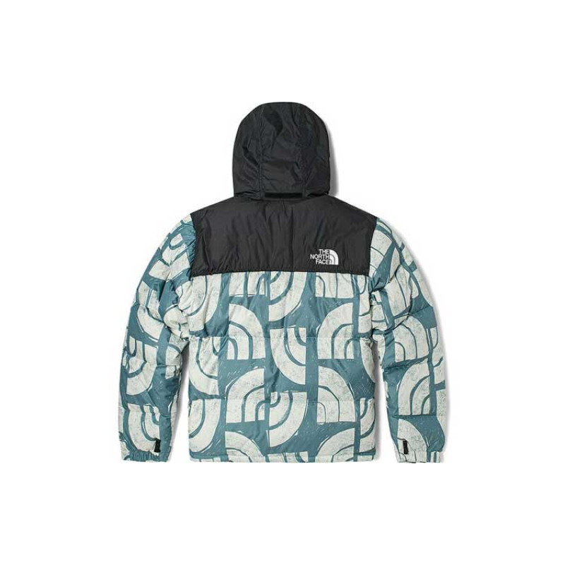 THE NORTH FACE 1996 Retro Nuptse 700