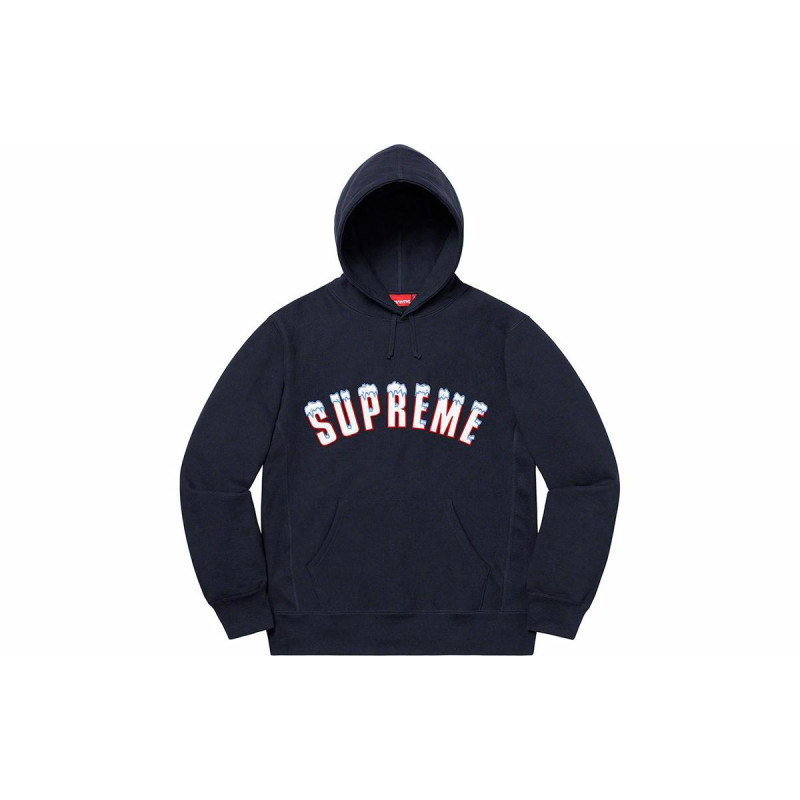 Supreme FW20 Week 1 Icy Arc Hooded Sweatshirt Logo