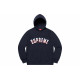 Supreme FW20 Week 1 Icy Arc Hooded Sweatshirt Logo