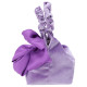Disney 23cm IP