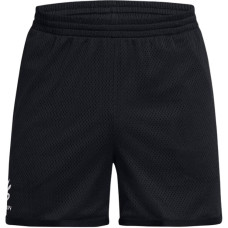 Under Armour FW24 logo