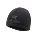 Arcteryx