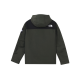 THE NORTH FACE Logo