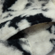 PUMA WINTERIZED Logo