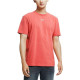 CKCalvin Klein T