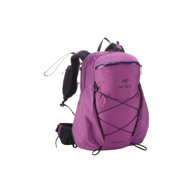 Arcteryx 30L
