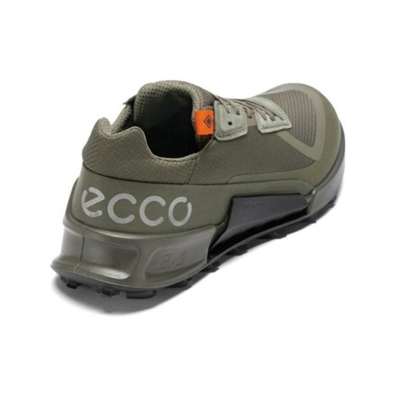 ecco 2.1