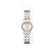 HAMILTON 27mm 18K 18K