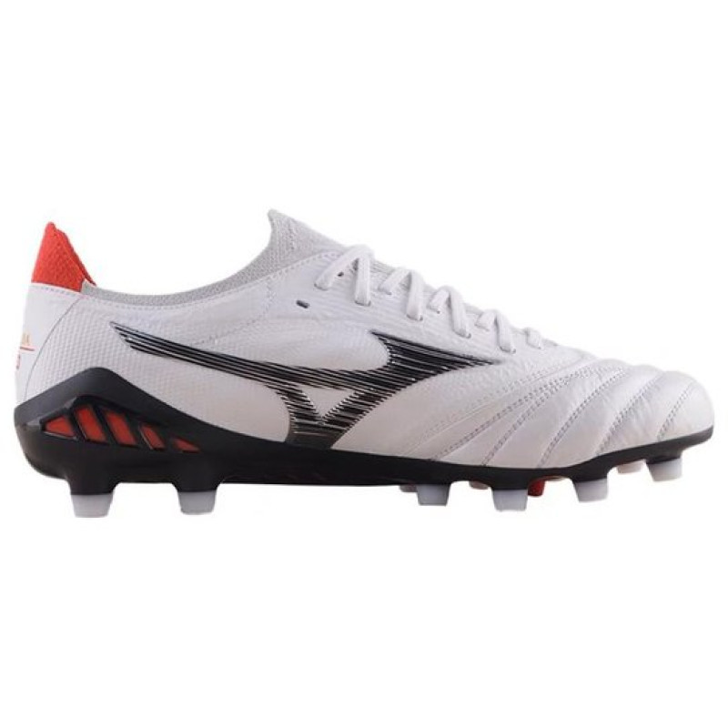 Mizuno