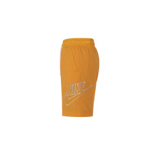 Nike Sportswear Alumni Logo