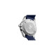LONGINES 300 41mm L3.790.4.96.9